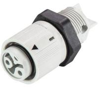 Wieland Electric 46.031.5054.0 Cosse cylindrique mâle embase femelle Nombre total de pôles: 2 Série (connecteur rond): RST® MINI