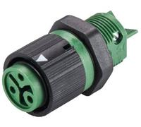 Wieland Electric 46.031.5055.7 Cosse cylindrique mâle embase femelle Nombre total de pôles: 2 + PE Série (connecteur rond): RST®