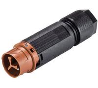 Wieland Electric 46.032.4551.4 Cosse cylindrique mâle mâle, droit Nombre total de pôles: 2 Série (connecteur rond): RST® MINI 1 pc(s)