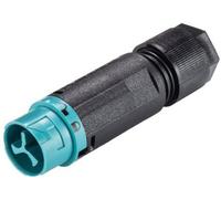 Wieland Electric 46.032.4551.6 Cosse cylindrique mâle mâle, droit Nombre total de pôles: 2 Série (connecteur rond): RST® MINI 1 pc(s)