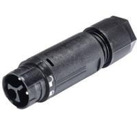 Wieland Electric 46.032.4553.1 Cosse cylindrique mâle mâle, droit Nombre total de pôles: 2 + PE Série (connecteur rond): RST®
