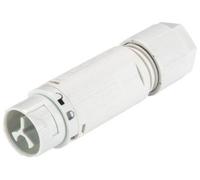 Wieland Electric 46.032.4554.0 Cosse cylindrique mâle mâle, droit Nombre total de pôles: 2 Série (connecteur rond): RST® MINI