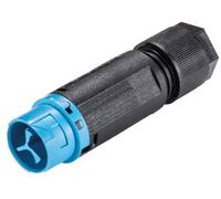 Wieland Electric 46.032.4554.9 Cosse cylindrique mâle mâle, droit Nombre total de pôles: 2 Série (connecteur rond): RST® MINI