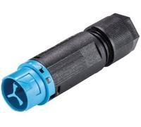 Wieland Electric 46.032.4554.9 Cosse cylindrique mâle mâle, droit Nombre total de pôles: 2 Série (connecteur rond): RST® MINI 1 pc(s)