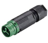 Wieland Electric 46.032.4555.7 Cosse cylindrique mâle mâle, droit Nombre total de pôles: 2 + PE Série (connecteur rond): RST®