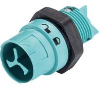 Wieland Electric 46.032.5051.6 Cosse cylindrique mâle embase mâle Nombre total de pôles: 2 Série (connecteur rond): RST® MINI