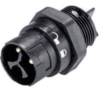 Wieland Electric 46.032.5053.1 Cosse cylindrique mâle embase mâle Nombre total de pôles: 2 + PE Série (connecteur rond): RST®