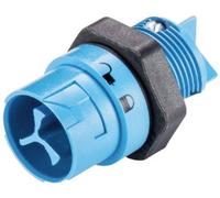 Wieland Electric 46.032.5054.9 Cosse cylindrique mâle embase mâle Nombre total de pôles: 2 Série (connecteur rond): RST® MINI 1 pc(s)