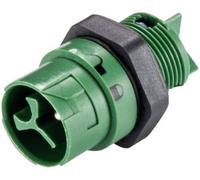 Wieland Electric 46.032.5055.7 Cosse cylindrique mâle embase mâle Nombre total de pôles: 2 + PE Série (connecteur rond): RST® MINI 1 pc(s)