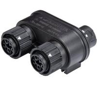 Wieland Electric 46.050.1253.1 Répartiteur pour connecteur rond Nombre total de pôles: 4 + PE Série (connecteur rond): RST® MINI