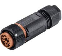 Wieland Electric 46.051.4550.4 Cosse cylindrique mâle femelle, droit Nombre total de pôles: 5 Série (connecteur rond): RST® MINI 1 pc(s)