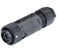 Wieland Electric 46.051.4553.1 Cosse cylindrique mâle femelle, droit Nombre total de pôles: 4 + PE Série (connecteur rond): RST®