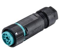 Wieland Electric 46.051.4553.6 Cosse cylindrique mâle femelle, droit Nombre total de pôles: 4 + PE Série (connecteur rond): RST®