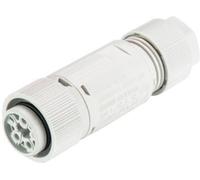 Wieland Electric 46.051.4554.0 Cosse cylindrique mâle femelle, droit Nombre total de pôles: 3 + PE Série (connecteur rond): RST® MINI 1 pc(s)