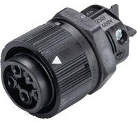 Wieland Electric 46.051.5053.1 Cosse cylindrique mâle embase femelle Nombre total de pôles: 4 + PE Série (connecteur rond): RST®