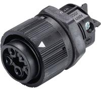 Wieland Electric 46.051.5053.1 Cosse cylindrique mâle embase femelle Nombre total de pôles: 4 + PE Série (connecteur rond): RST® MINI 1 pc(s)