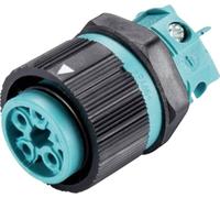 Wieland Electric 46.051.5053.6 Cosse cylindrique mâle embase femelle Nombre total de pôles: 4 + PE Série (connecteur rond): RST®