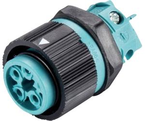 Wieland Electric 46.051.5053.6 Cosse cylindrique mâle embase femelle Nombre total de pôles: 4 + PE Série (connecteur rond): RST®