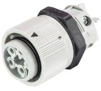 Wieland Electric 46.051.5054.0 Cosse cylindrique mâle embase femelle Nombre total de pôles: 3 + PE Série (connecteur rond): RST®