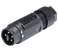 Wieland Electric 46.052.4553.1 Cosse cylindrique mâle mâle, droit Nombre total de pôles: 4 + PE Série (connecteur rond): RST® MINI 1 pc(s)