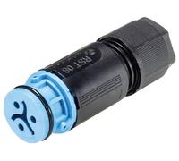 Wieland Electric 4L.031.3043.9 Connecteur