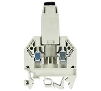 Wieland Electric 57.504.1755.0 Borne de passage raccord à vis gris 50 pc(s)