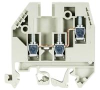 Wieland Electric 57.504.5055.0 Borne de passage double raccord à vis gris 100 pc(s)