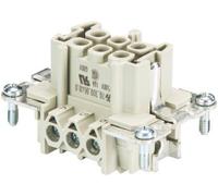 Wieland Electric 70.300.0640.0 Insert femelle BAS Nombre total de pôles 6 + PE 1 pc(s)