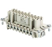 Wieland Electric 70.300.1640.0 Insert femelle BAS Nombre total de pôles 16 + PE 1 pc(s)