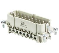 Wieland Electric 70.310.1640.0 Insert de connecteur Nombre total de pôles 16 10 pc(s)