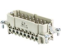 Wieland Electric 70.310.1640.0 Insert mâle BAS Nombre total de pôles 16 + PE 1 pc(s)