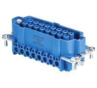 Wieland Electric 72.300.1653.9 Insert femelle Nombre total de pôles 16 10 pc(s)