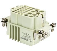 Wieland Electric 72.703.3253.0 Insert femelle Nombre total de pôles 8 100 pc(s)