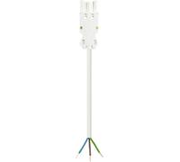 Wieland Electric 92.232.1003.2 Câble de raccordement blanc