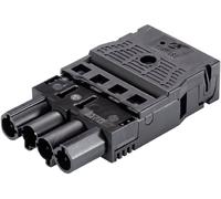 Wieland Electric 92.944.0053.1 Connecteur