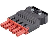 Wieland Electric 92.953.4553.5 Connecteur