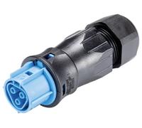 Wieland Electric 96.031.0553.9 Connecteur