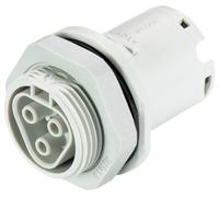 Wieland Electric 96.031.1053.0 Branchement d'appareil