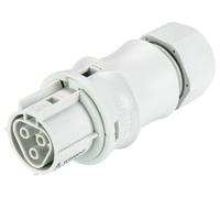 Wieland Electric 96.031.4053.0 Connecteur