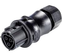 Wieland Electric 96.031.4053.1 Connecteur multicolore