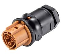 Wieland Electric 96.031.6051.4 Branchement d'appareil