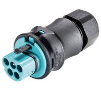 Wieland Electric 96.052.4153.6 Connecteur