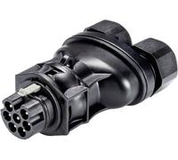 Wieland Electric 96.072.4253.1 Connecteur