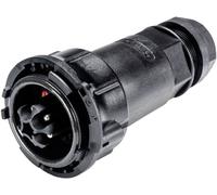 Wieland Electric 97.052.4053.1 Connecteur