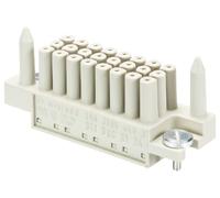 Wieland Electric 99.700.6905.5 Connecteur femelle Nombre total de pôles 24 100 pc(s)
