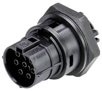 Wieland Electric 9L.071.6353.1 Branchement d'appareil