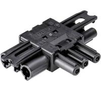 Wieland Electric Bachmann 375.102 Répartiteur noir