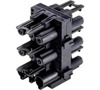 Wieland Electric BACHMANN Bloc de distribution GST18i3