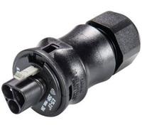 Wieland Electric Connecteur mâle Rst20I3 D6-10mm Wieland 96.032.0053.1