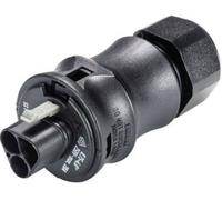 Wieland Electric Embase mâle Rst 20I2 6 - 10 mm 96.022.4053.1